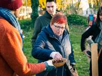 Obststadt Wien - Obstpark Strebersdorf