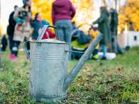 Obststadt Wien - Obstpark Strebersdorf